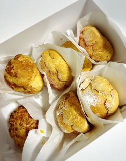 �܂��V���[�N���[��